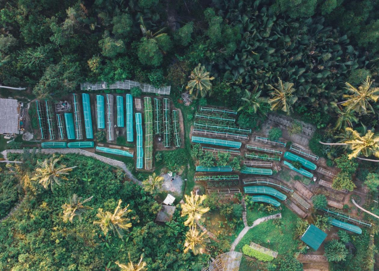 Ocean Green Eco Lodge Puerto Princesa Luaran gambar
