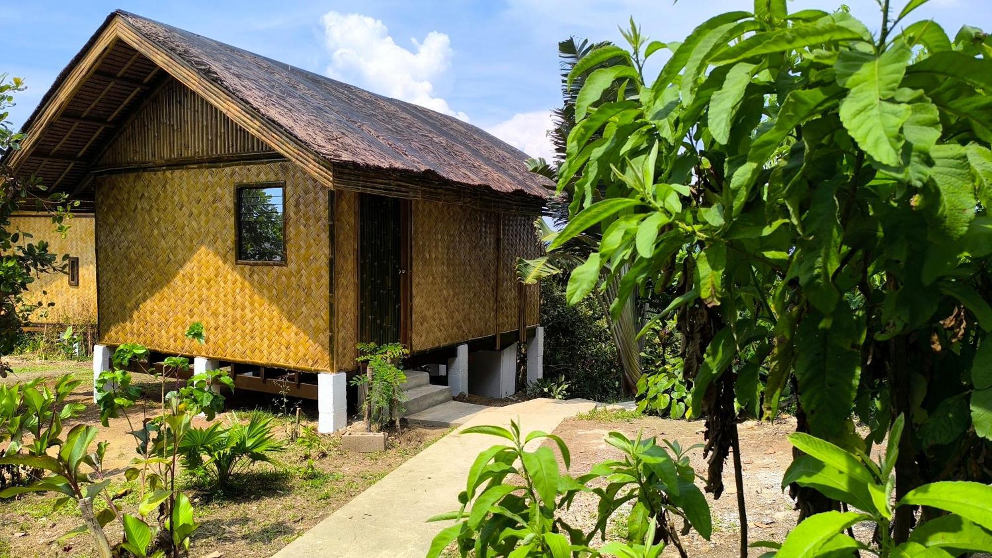 Ocean Green Eco Lodge Puerto Princesa Luaran gambar